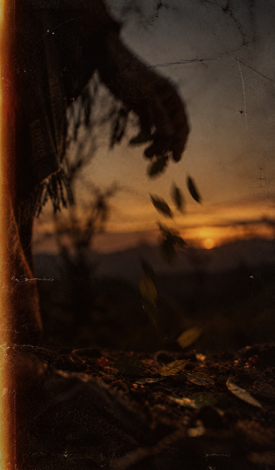 A ritual gesture at sunset
